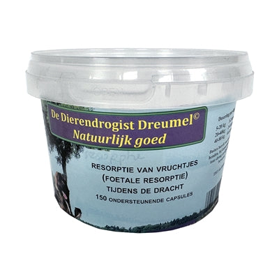 Resorption von Föten in Tierdrogerien. Resorption des Fötus
