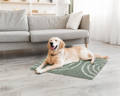Zolux Hundedecke Vetbed Schleife grün