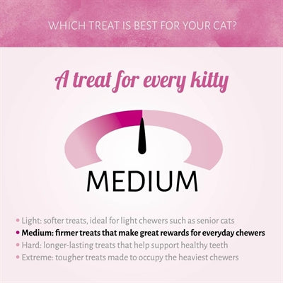 Antos Cat Soft Sticks Madam Lachsforelle