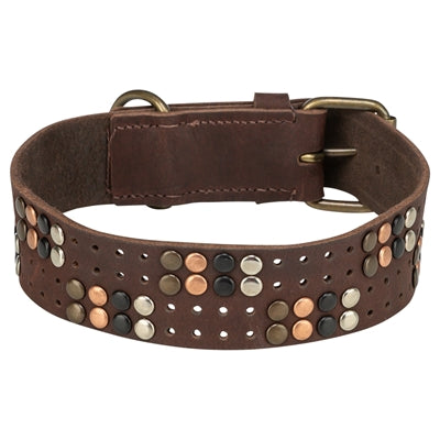 Trixie Hundehalsband Niete rustikal Fettleder dunkelbraun