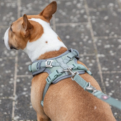 Trixie Hundegeschirr Premium Flexmesh, breite Brust, Salbeigrün