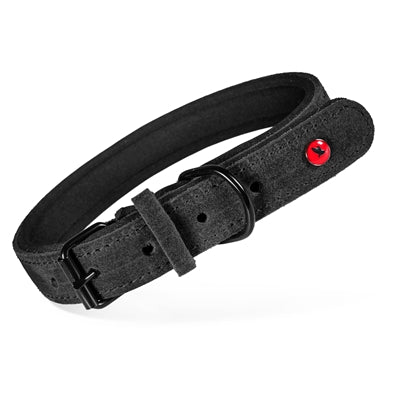 Zolux expert halsband hond premium leer neopreen zwart