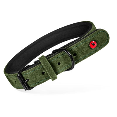 Zolux expert halsband hond premium leer neopreen groen