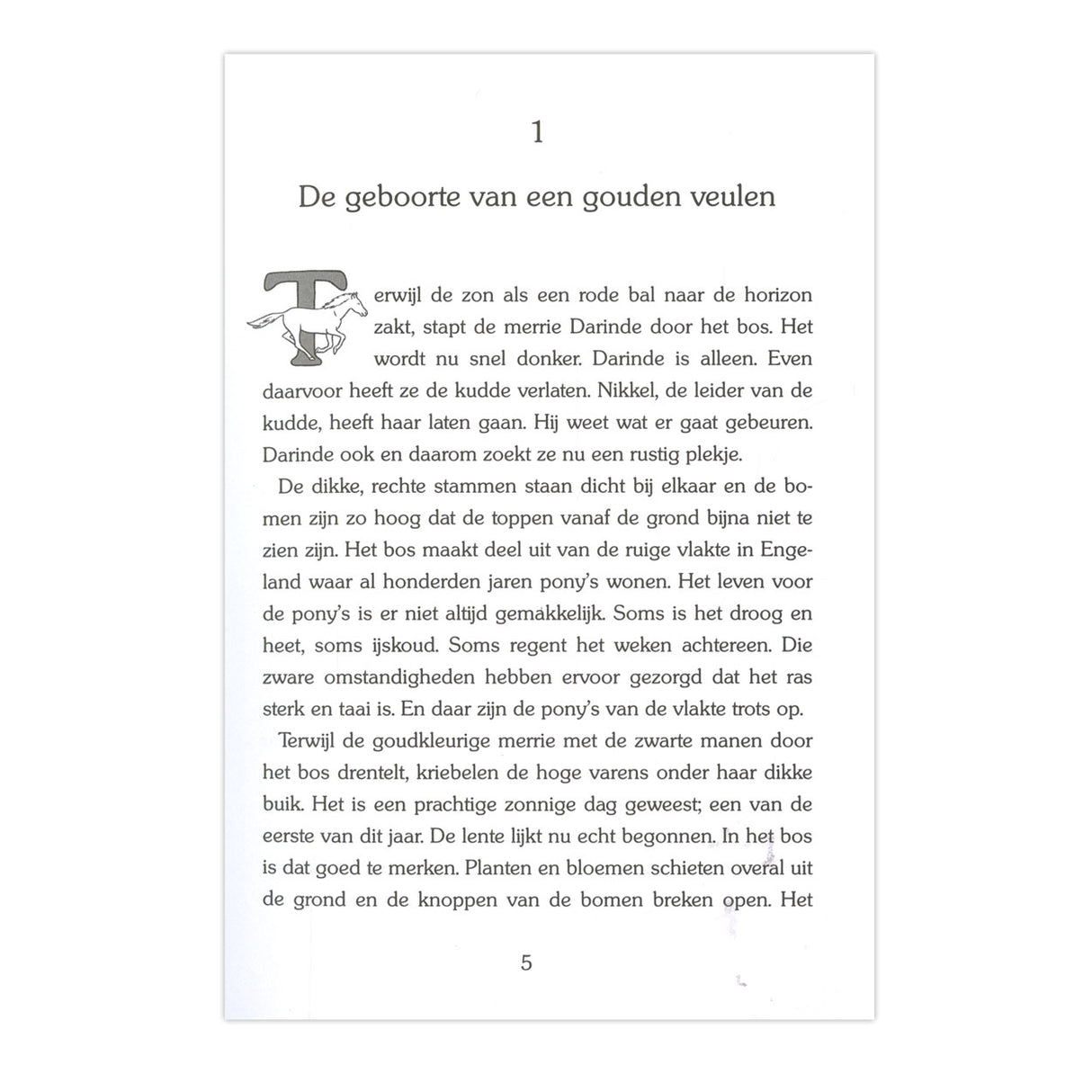 Kluitmans goldene Pferde: Aurea, das wilde Pony