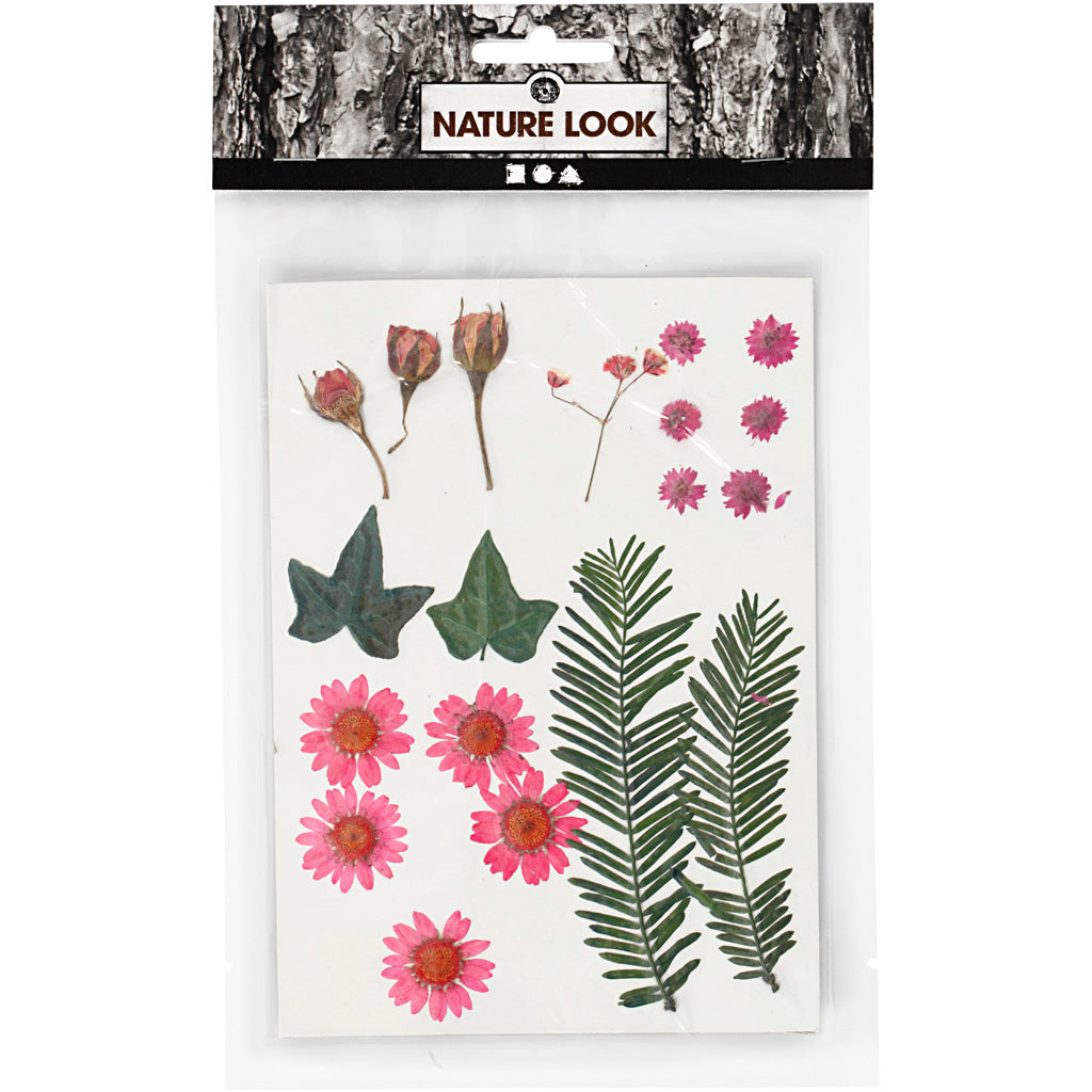 Creativ Company Trockenblumen und Blätter hellrot, 19 Stk.