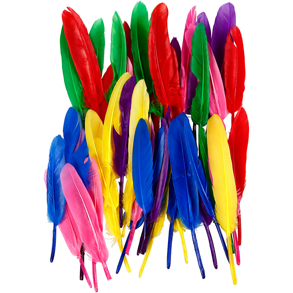 Creativ Company Federn, L: 13 cm, verschiedene Farben, 48 Stück 1 Box