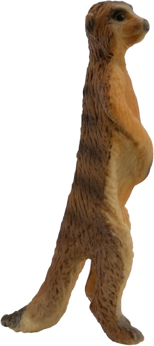 4007176644539