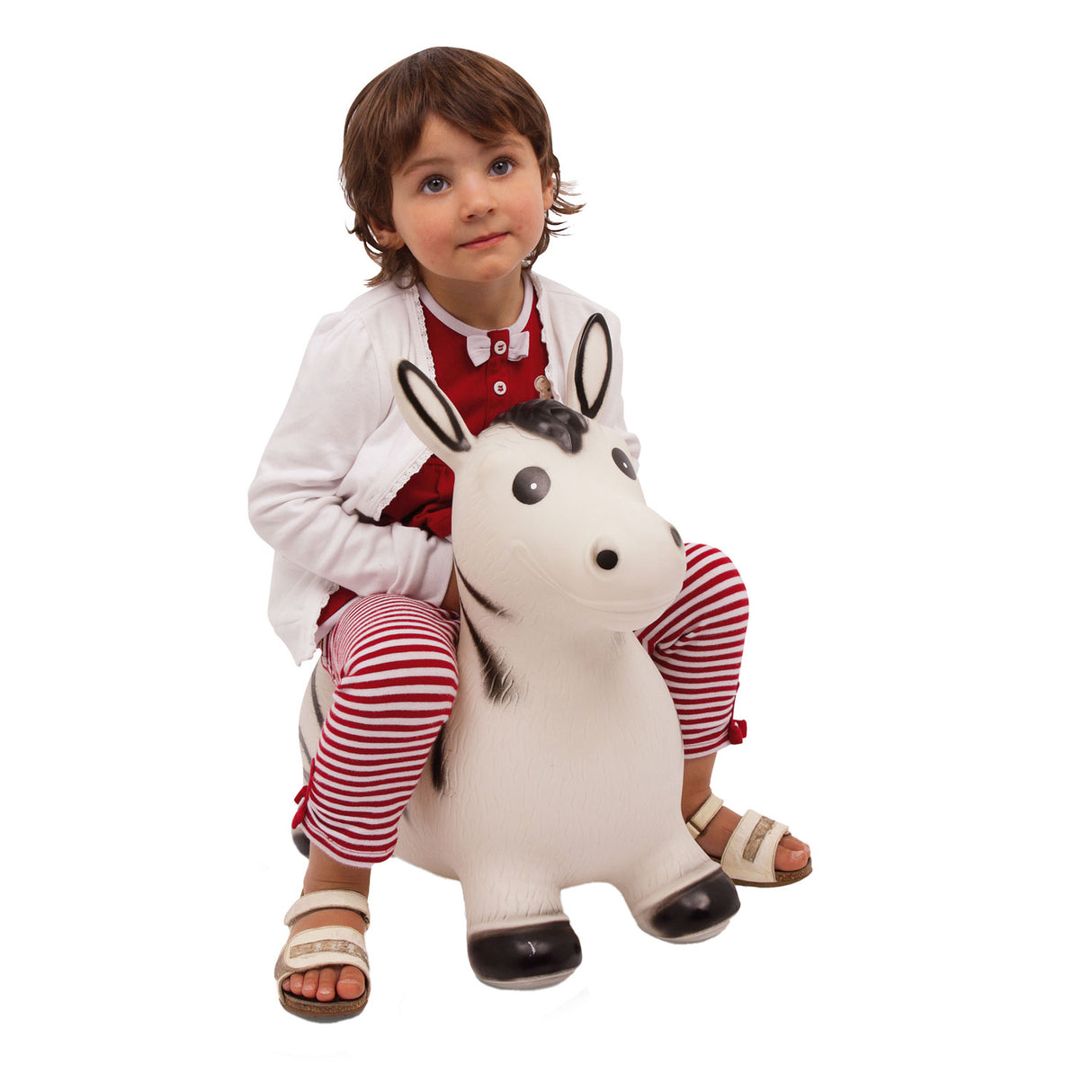Kleiner Fuß - Skippydier Zebra