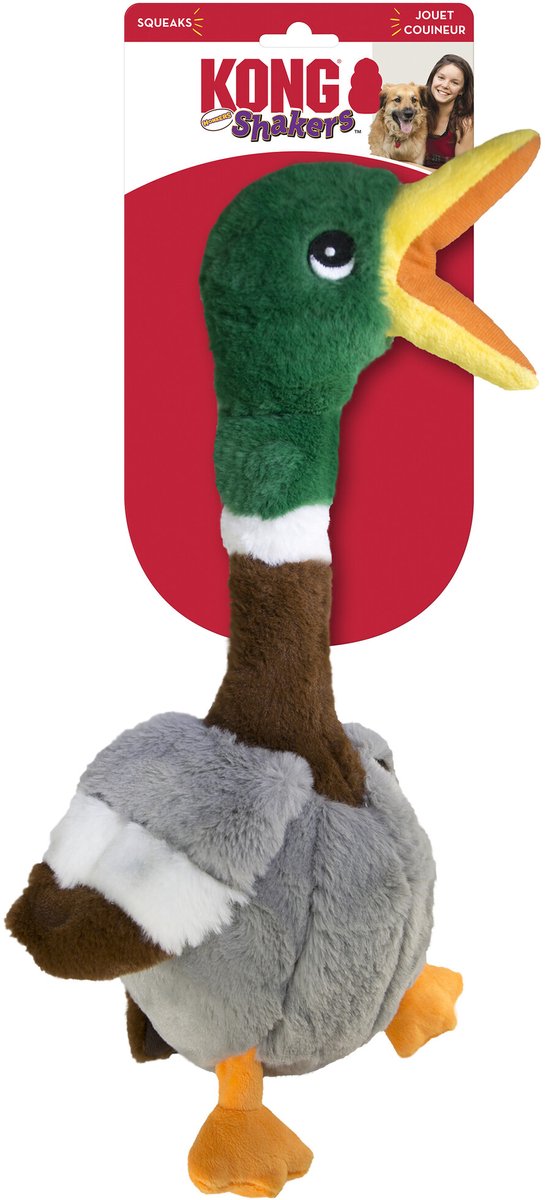 Kong Shakers Honkers Duck – Hundespielzeug – grau, braun, grün, groß
