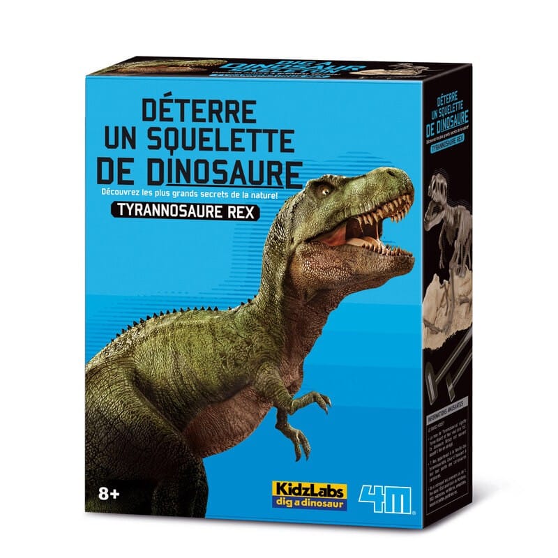 4 m Graben Sie Ihren eigenen Dinosaurier auf den T Rex Kidz Labs