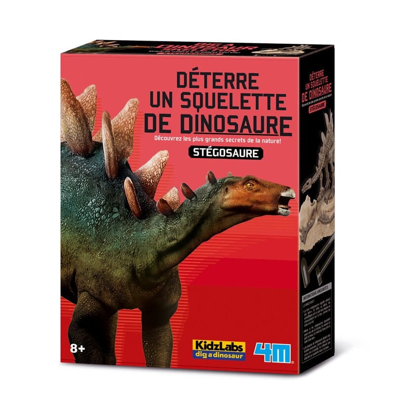 4 m Grabe deinen eigenen Dinosaurier bei Stegosaurus Kidzlabs
