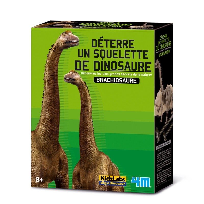 4 m Graben Sie Ihren eigenen Dinosaurier auf den T Rex Kidz Labs