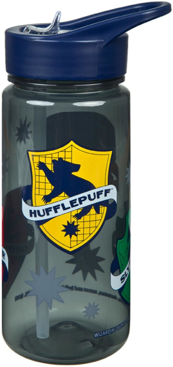 Trinkflasche Harry Potter | 4 Stück