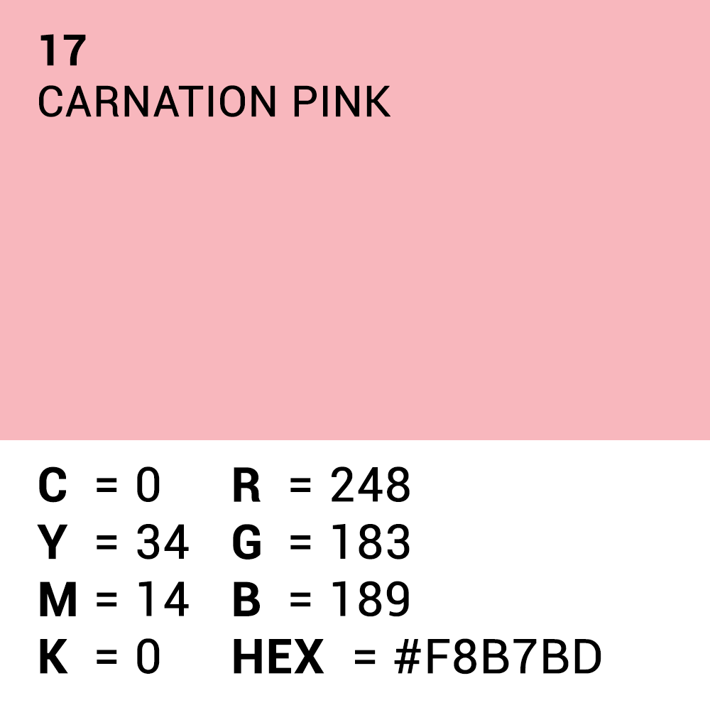 Vorgesetzter Hintergrundpapier 17 Carnation Pink 1,35 x 11m