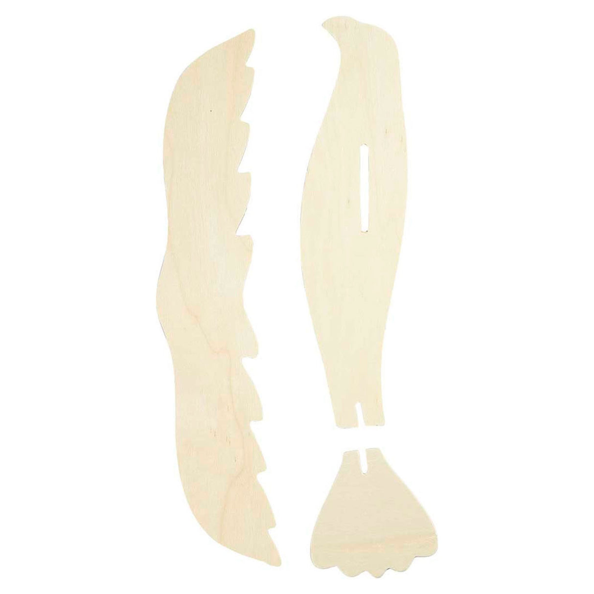 Https: www.cchobby.nl Bird-size-26x28-cm-thickness-2-mm-20-set-1-box