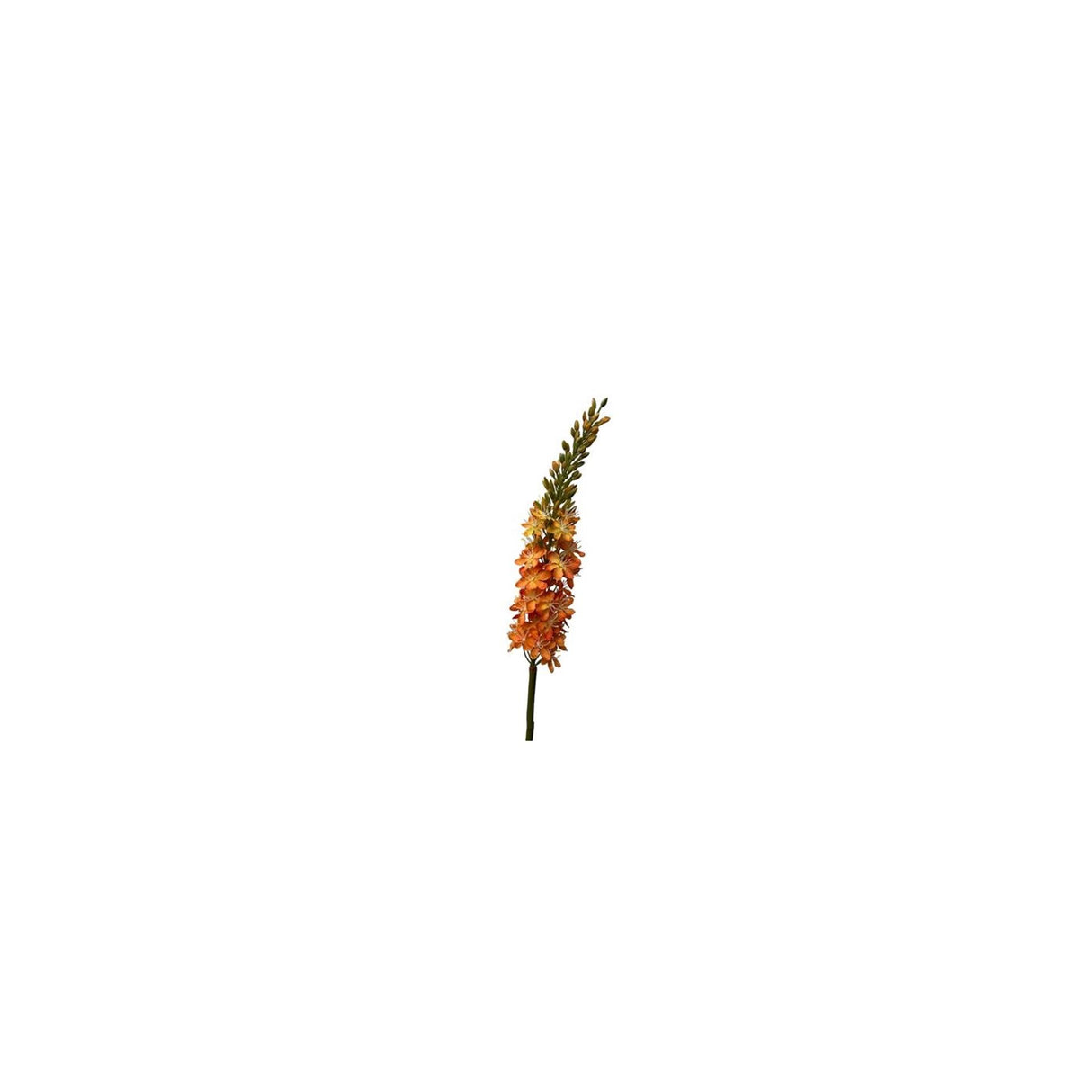Roberts collection kunstbloem eremures spray 82cm oranje