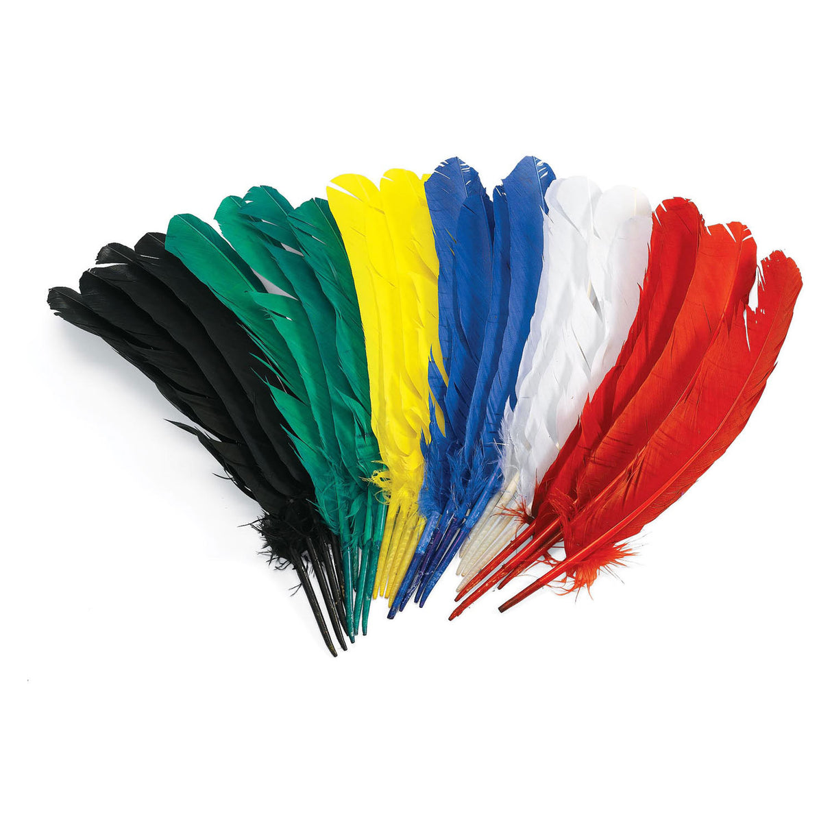 Färbung - Federn 30 cm, 24 Set von 24