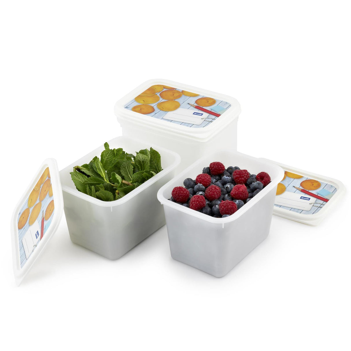 Rotho Gefrierdosen-Set 4-teilig 1l