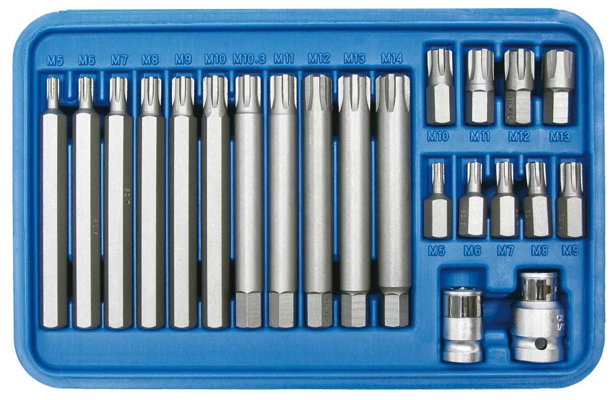 SW Stahl SW-Stahl Bits Set Ribe Set 22-tlg. M5-M13 SW-Stahl