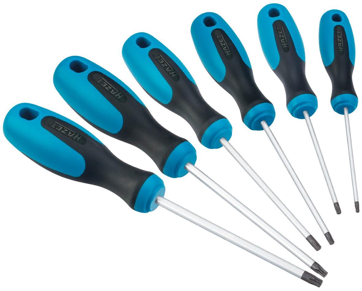 Hazet Schraubendrehersatz 810t 6 Schraubendrehersatz Torx