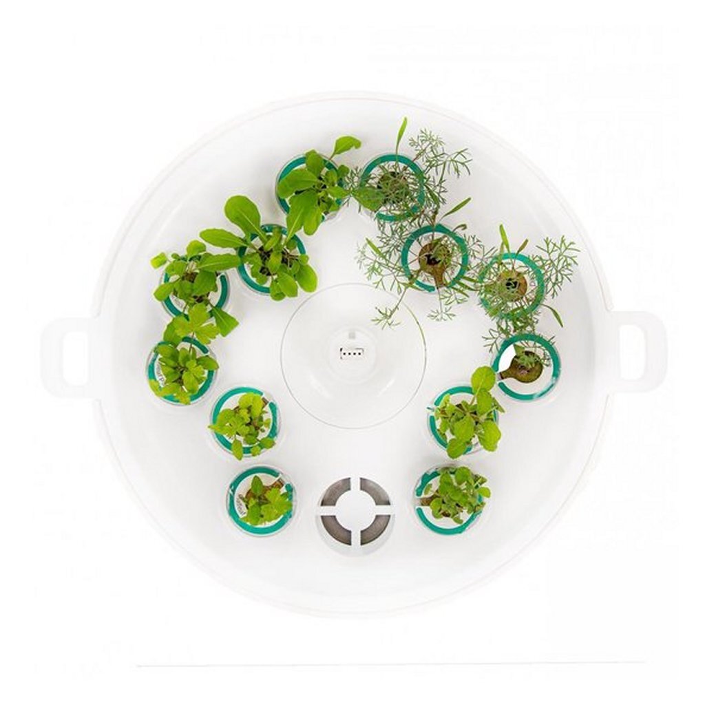 Plantui Booster-Tablett weiß