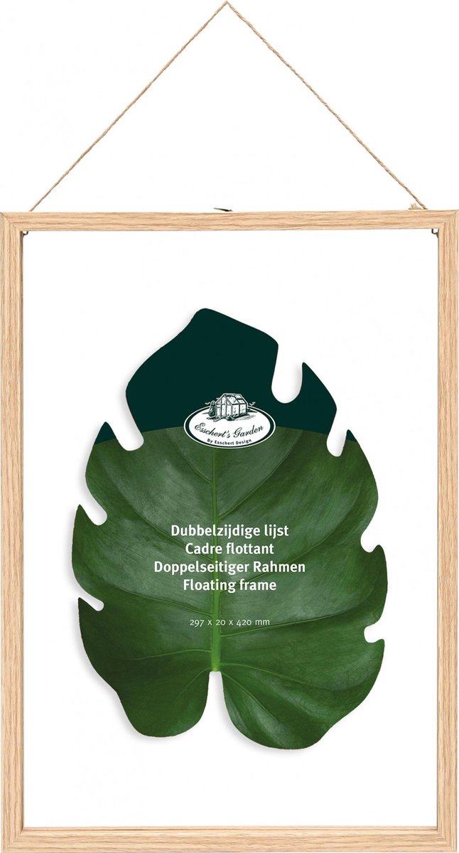 Esschert Designrahmen für Trockenblumen XL 42 x 29,8 cm | 2 Stk