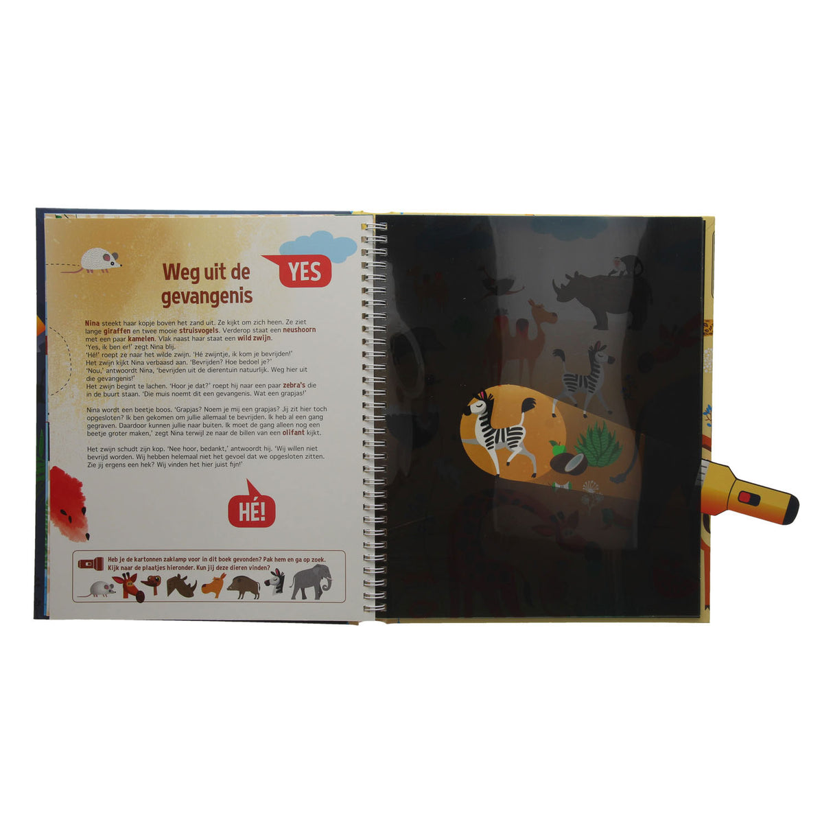 Suche im Zoo + Taschenlampe aus Pappe