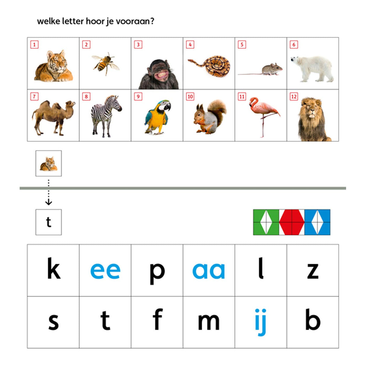 WPG Publishers Mini-Lok-Starterpaket (4-6 Jahre)