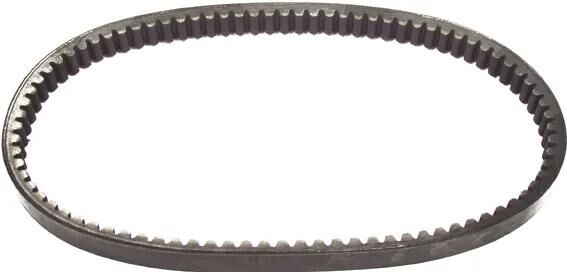 Malossi-Keilriemen, verstärkt, versteift, breiteste 22 x 830 mm