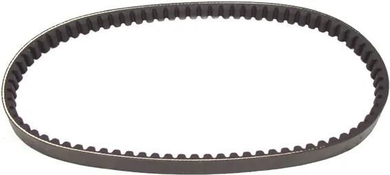 Polini Keilriemen verstärkt versteift Keilriemen versteift. 18,5x802mm