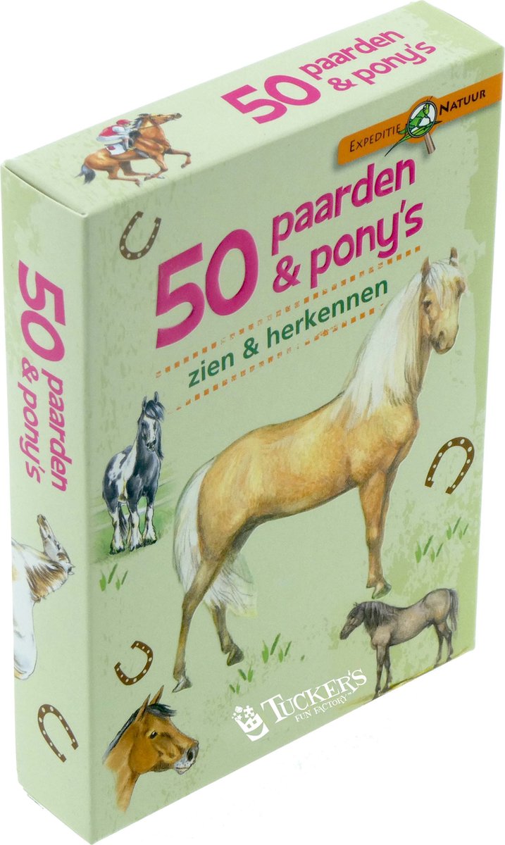 Story factory expeditie natuur 50 paarden pony's zien en herkennen
