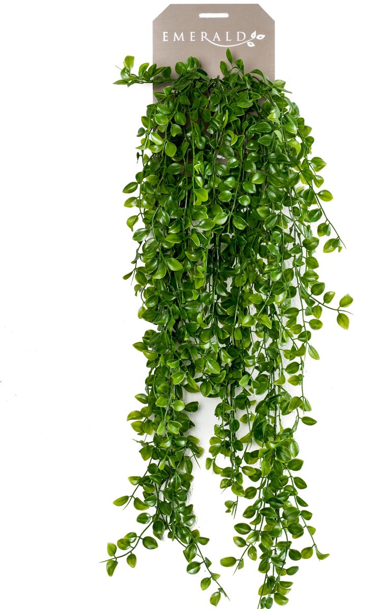Smaragd - künstliche Hängepflanze Ficus Pumila 80cm - Kunstpflanze für den Innenbereich