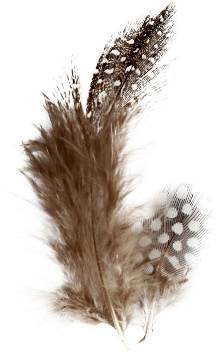 Kreativunternehmen https: www.cchobby.nl Feathers-of-pearl-fowl-ca-100-piece-brown-3-gr-1-doos