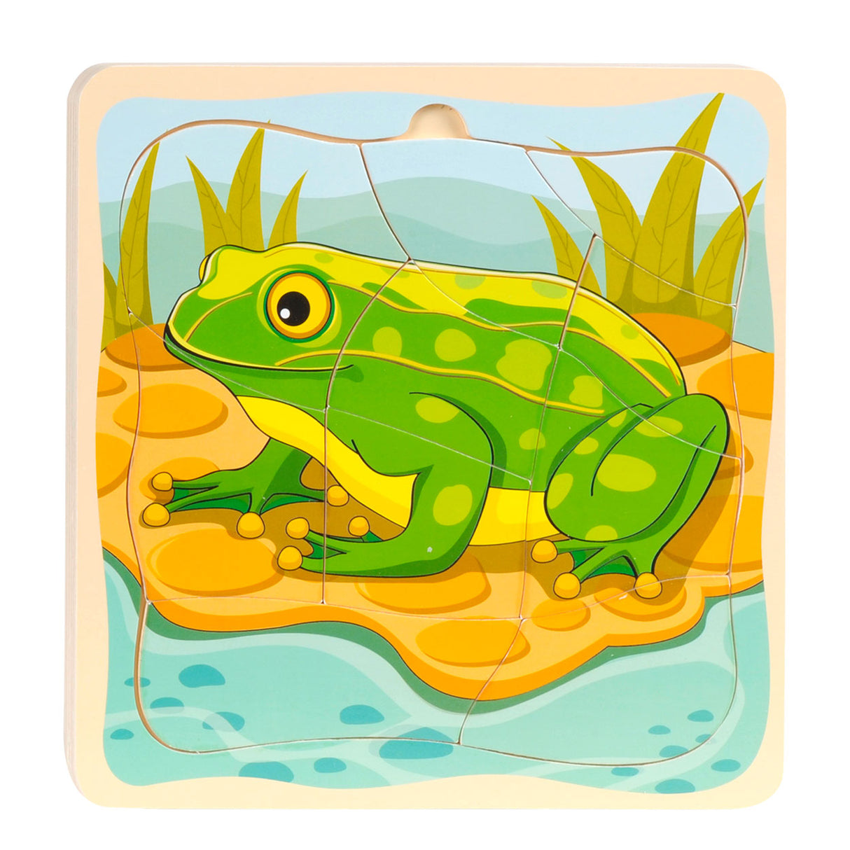 Topbright Schichten-Puzzle-Zyklus-Frosch