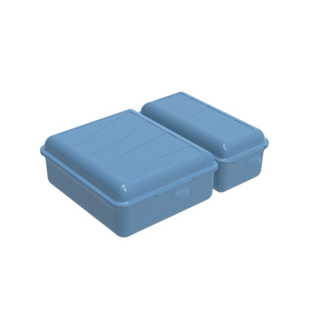 Rotho Twin Lunchbox 1,05+0,55l Horizontblau