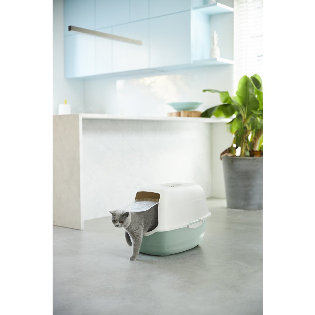 Rotho Bailey Katzentoilette Öko grüner Sand