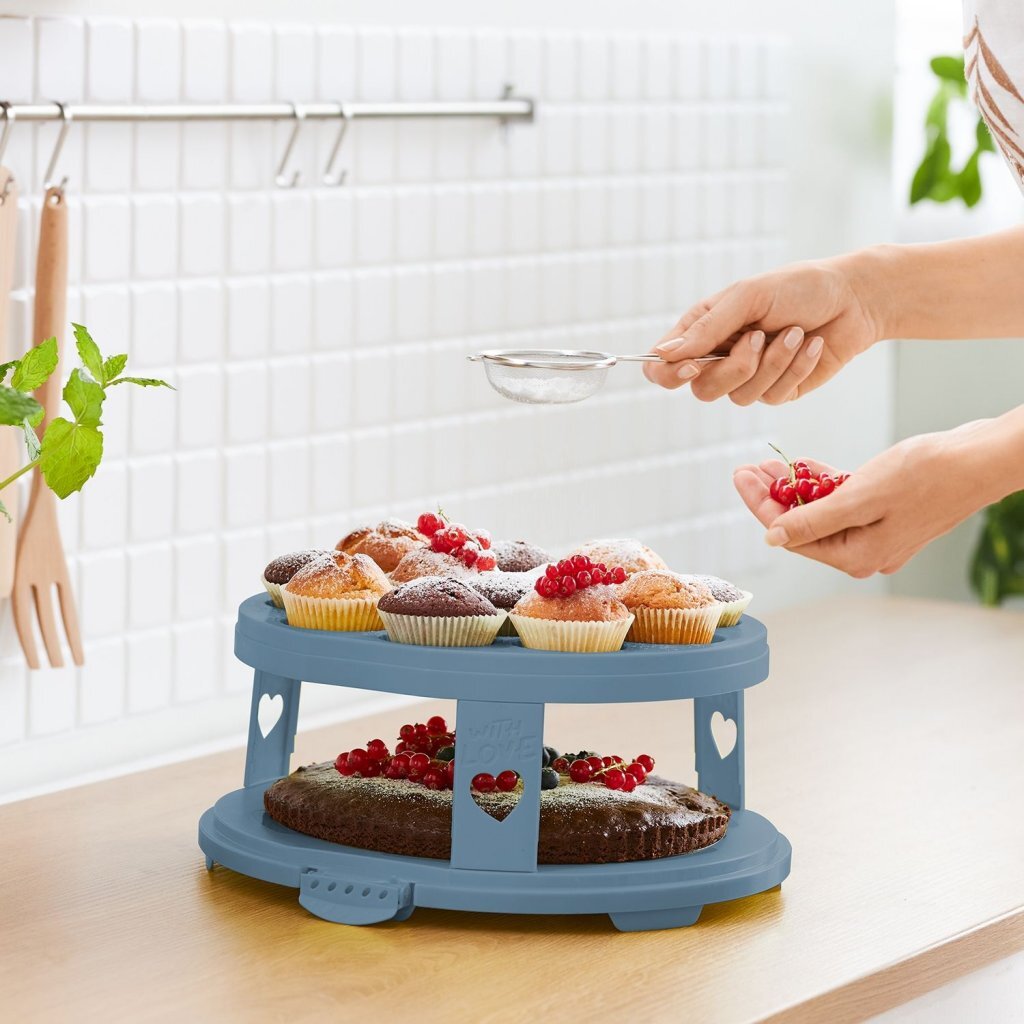 Rotho Fresh Cake Box XL + Cupcake-Halter 35,5x34,5x26 cm Horizontblau transparent