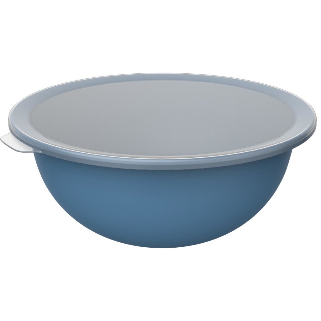 Rotho Schüssel mit Deckel 4,8 l Horizontblau | 2 Stk