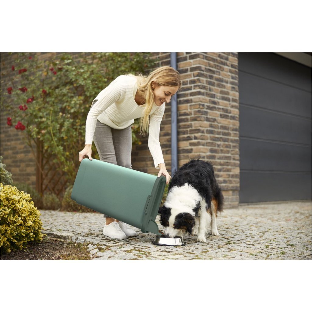 Rotho Mypet Futterbehälter 50l grün