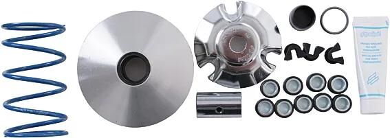 Polini Variomatik Hi-Speed Variomatik Hispeed Piaggio 200-250-300