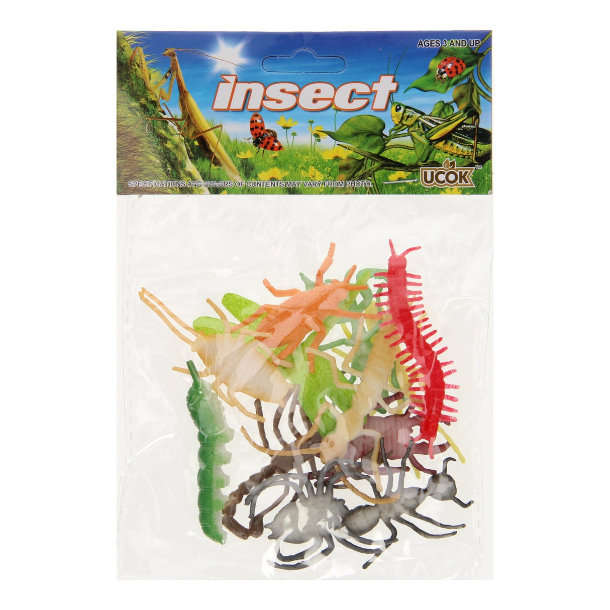 Insekten, 12St.