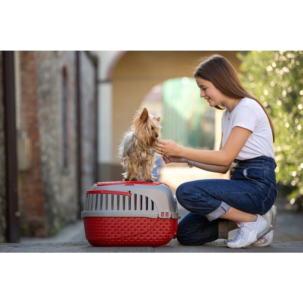 Bama Haustiertransportbox 59x38x37 cm rot silber