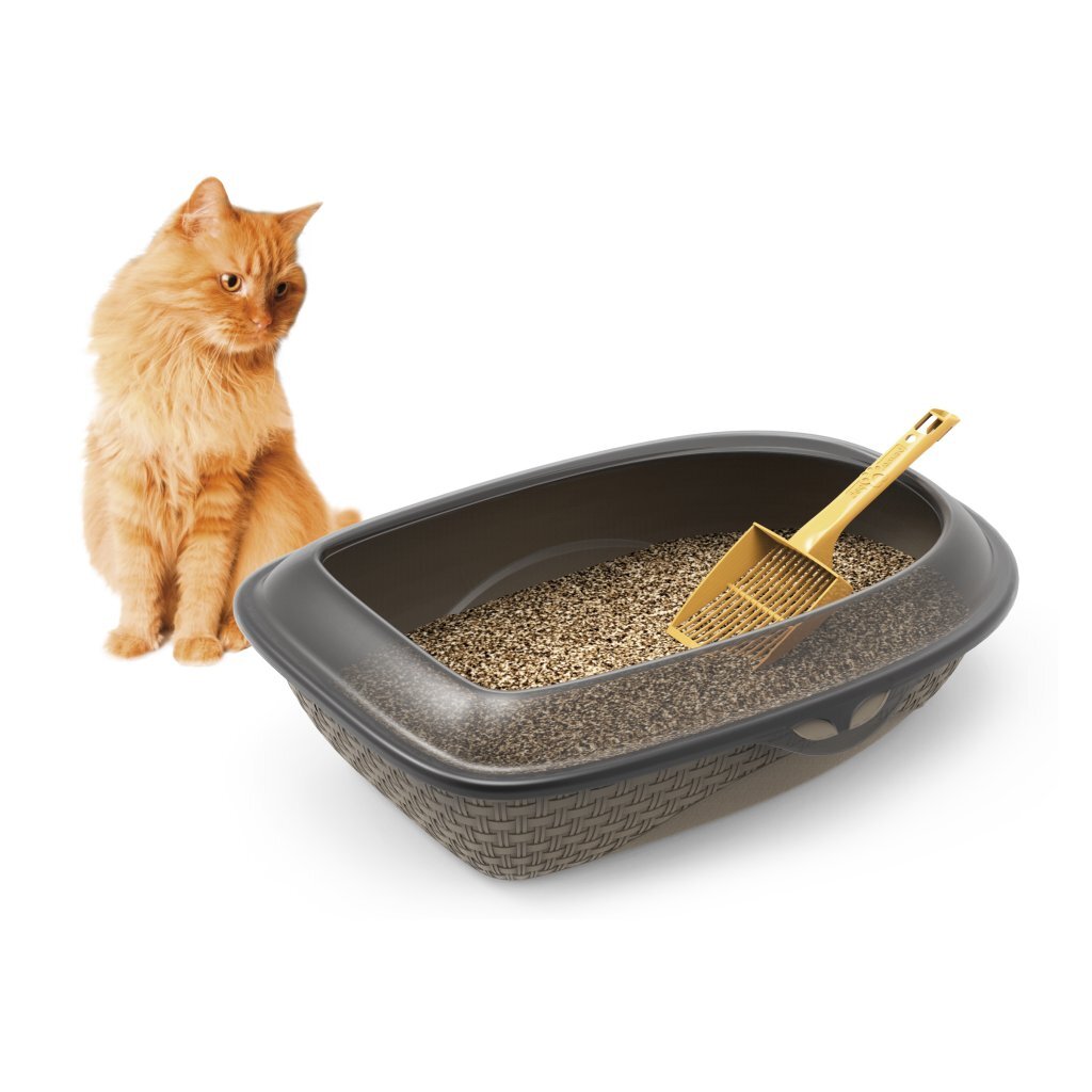 Bama Pet Sabbia Katzentoilette 59,5 x 40,3 x 17,9 cm grau