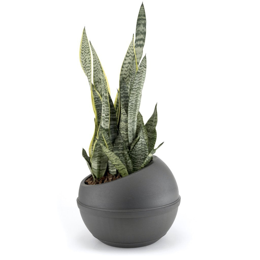 Bama Sfera Blumentopf 23l 40,5x32 cm anthrazit