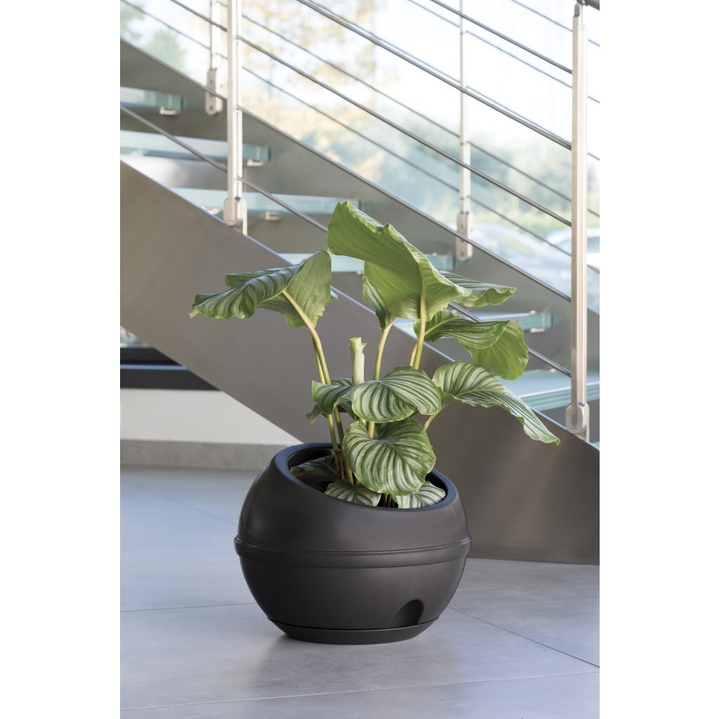 Bama Sfera Blumentopf 23l 40,5x32 cm anthrazit