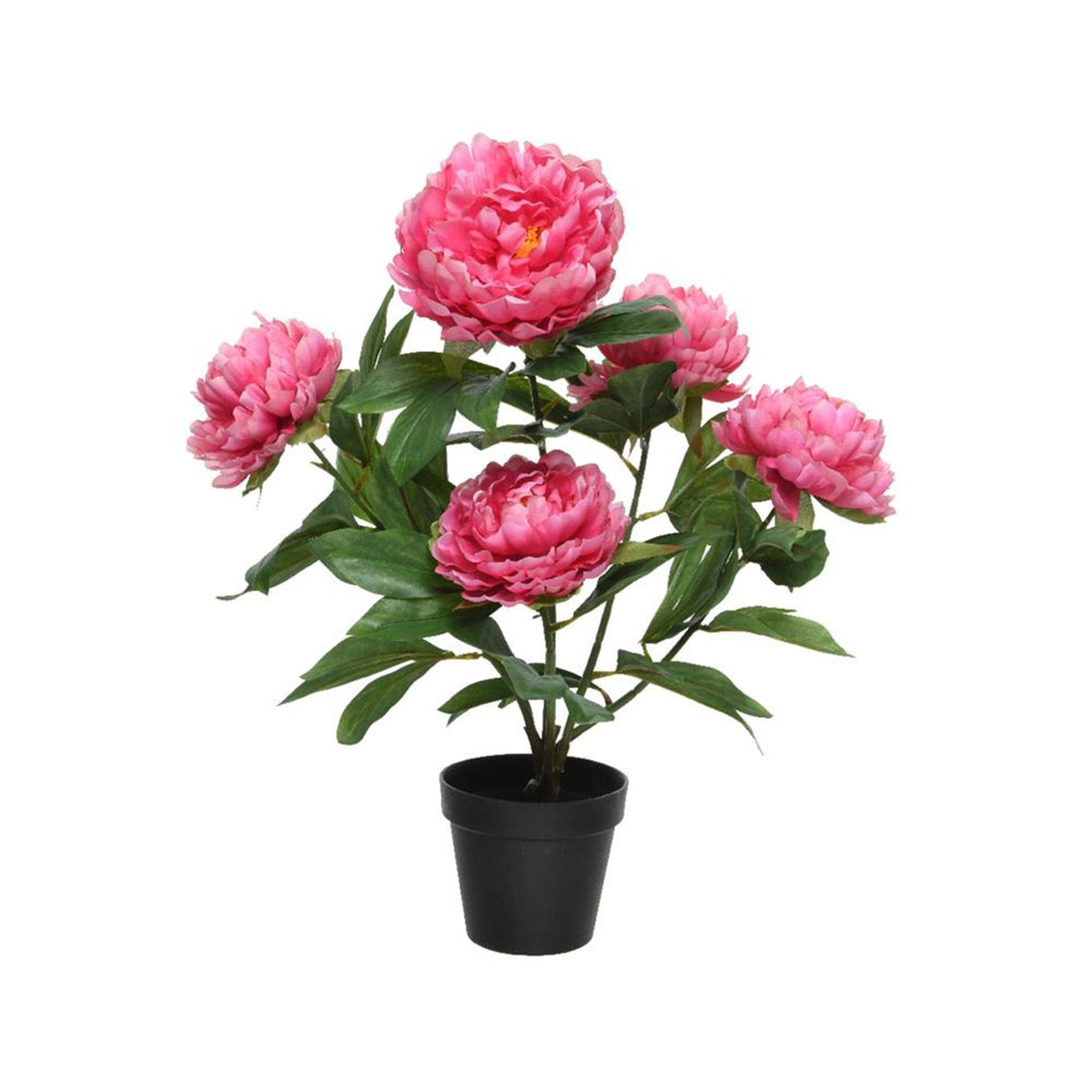 Decoris Kunstpflanze Pfingstrose H57cm Fuchsia