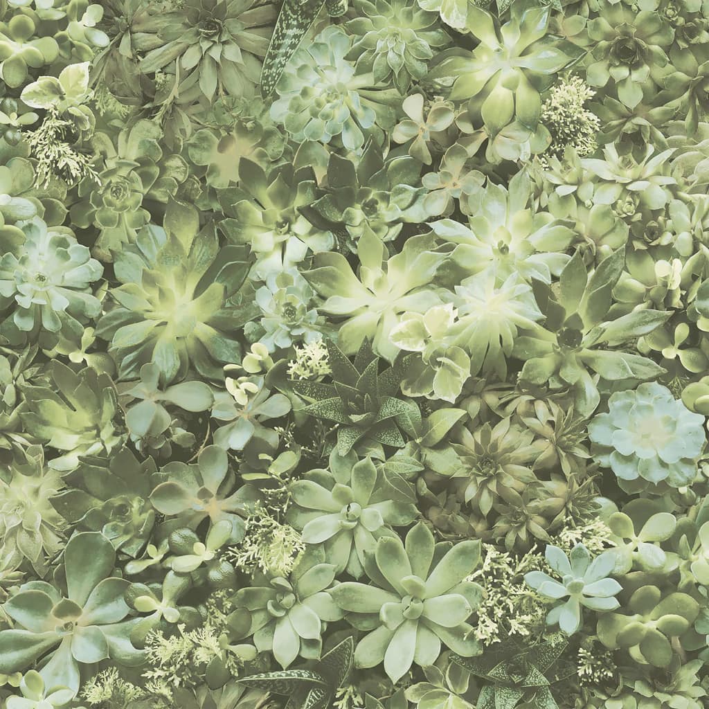 Noordwand Tapete immergrüne Sukkulente Grün und Beige