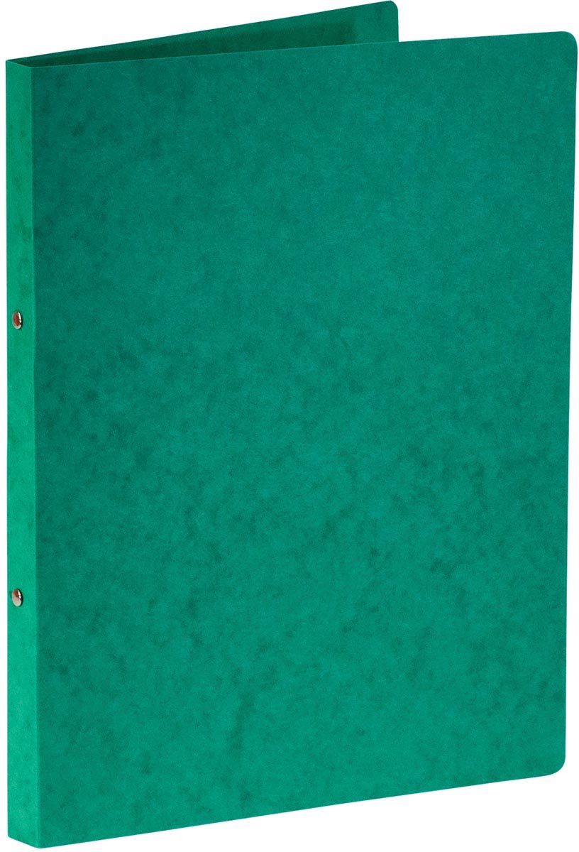 Bronyl-Ringbinder | für ft a4 | aus glänzendem Karton | 2 Ringe à 16 mm | grün