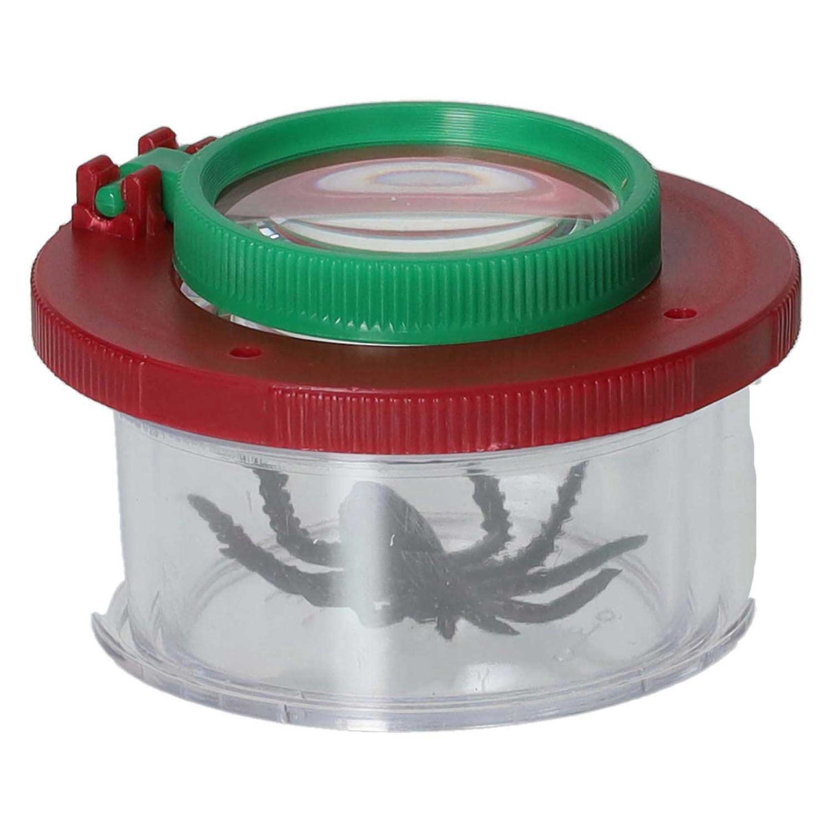 Insektentopf mit Lupe