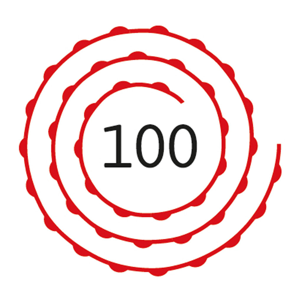 Basispistole 100 Schuss
